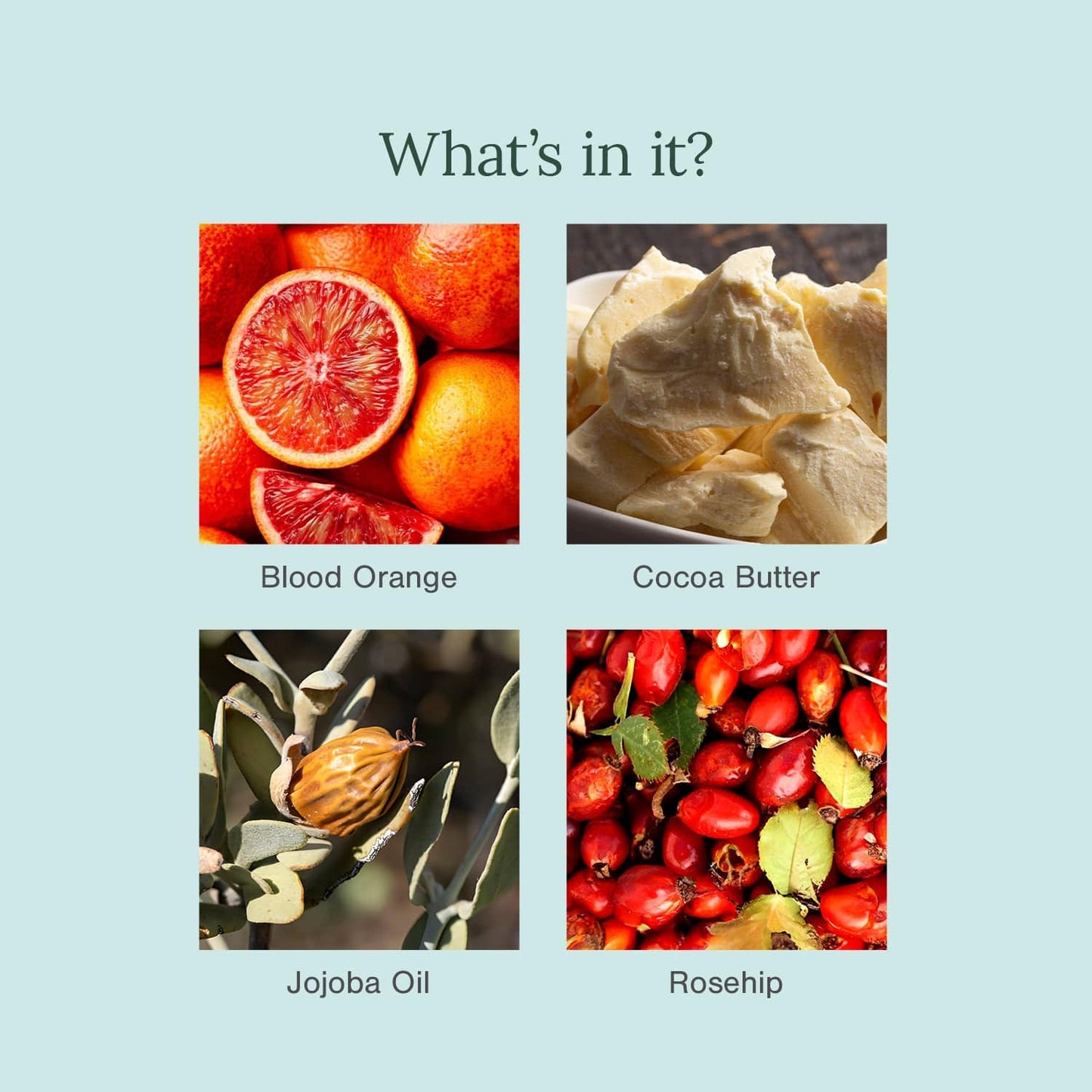 Blood Orange and Rosehip Lip Balm - Juicy Chemistry