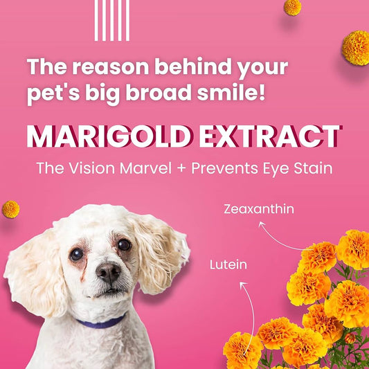 Tear Stains Eyebright Chew sticks For All Life Stages Dog | Active Marigold Extract, Rich In Omega Fa For Dog, 100 Gm Dog Treats