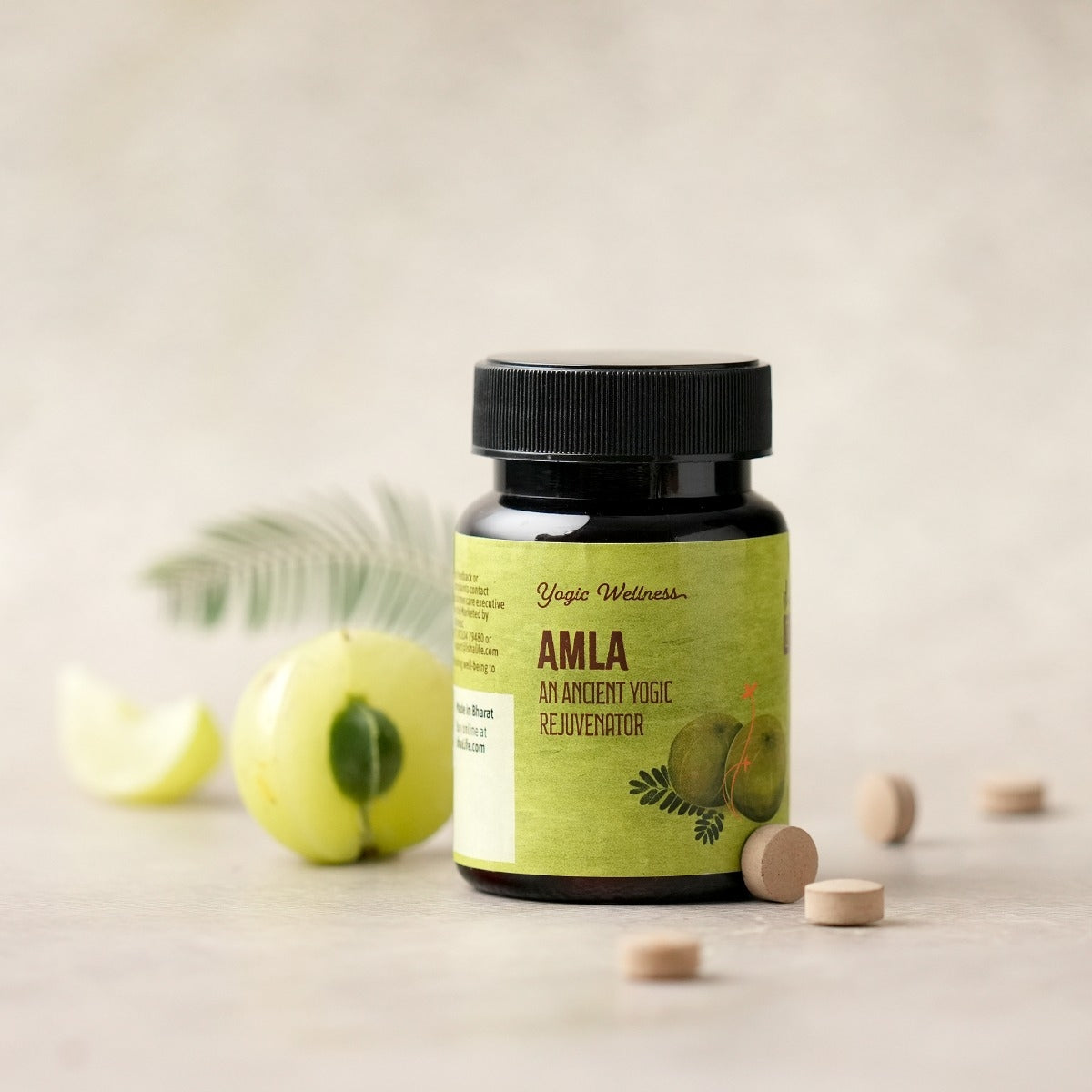 Amla Powder