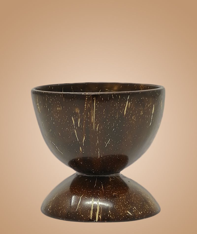Coconut Shell Bowl