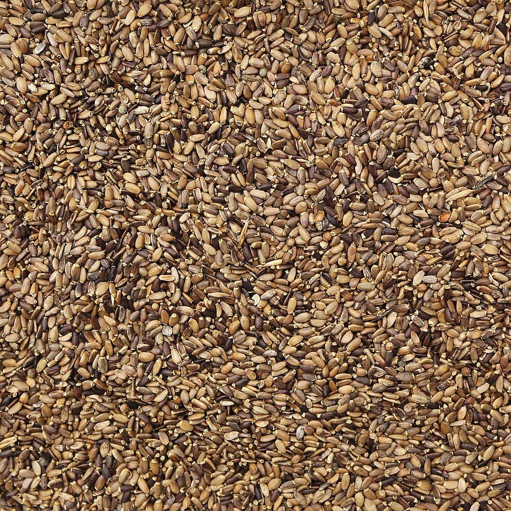 MILK THISTLE SEED, whole