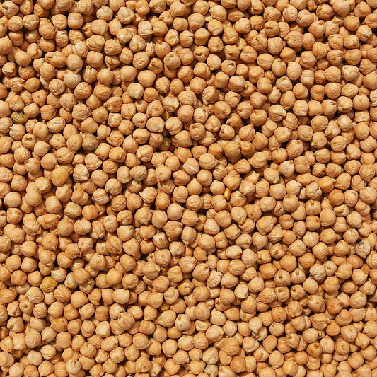 ORGANIC GARBANZO BEANS (Chick Peas)