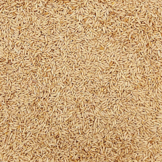 ORGANIC OAT GROATS, whole