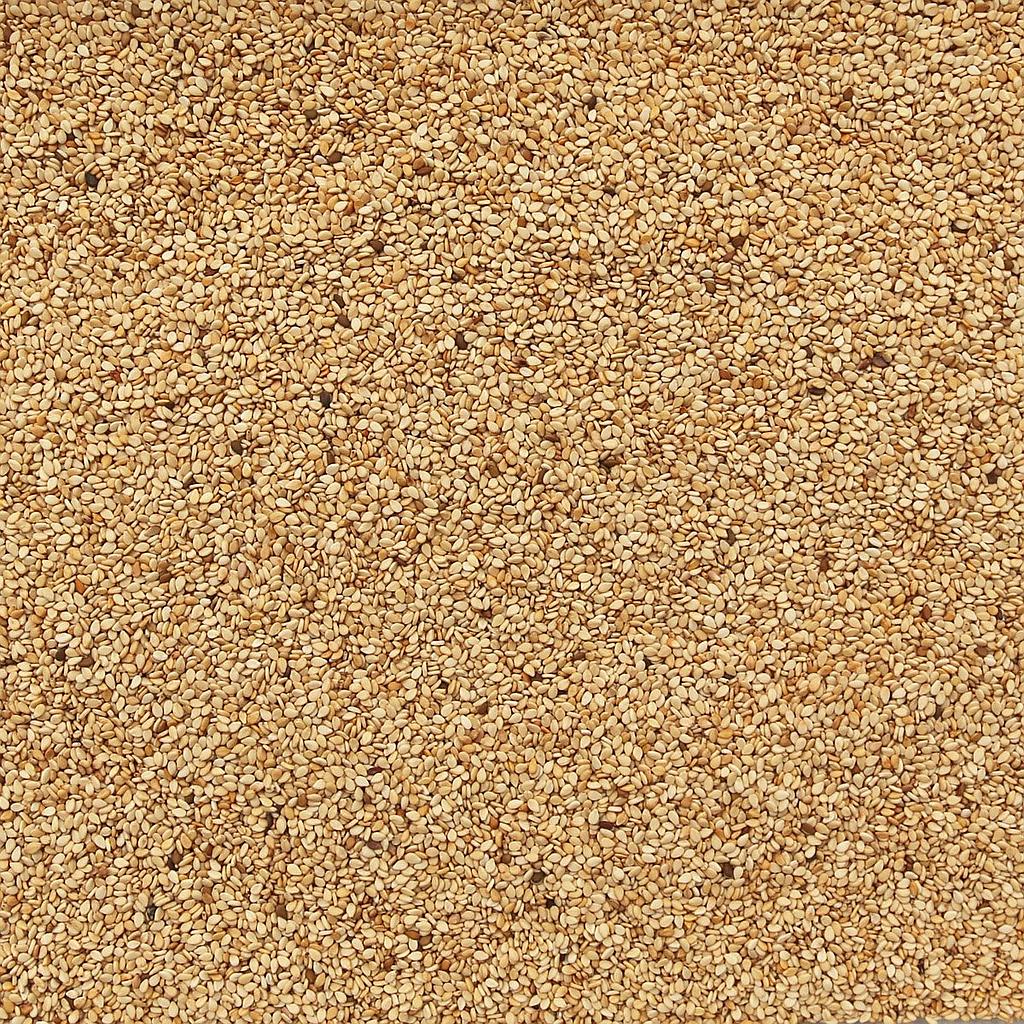 ORGANIC SESAME SEEDS, natural, unhulled