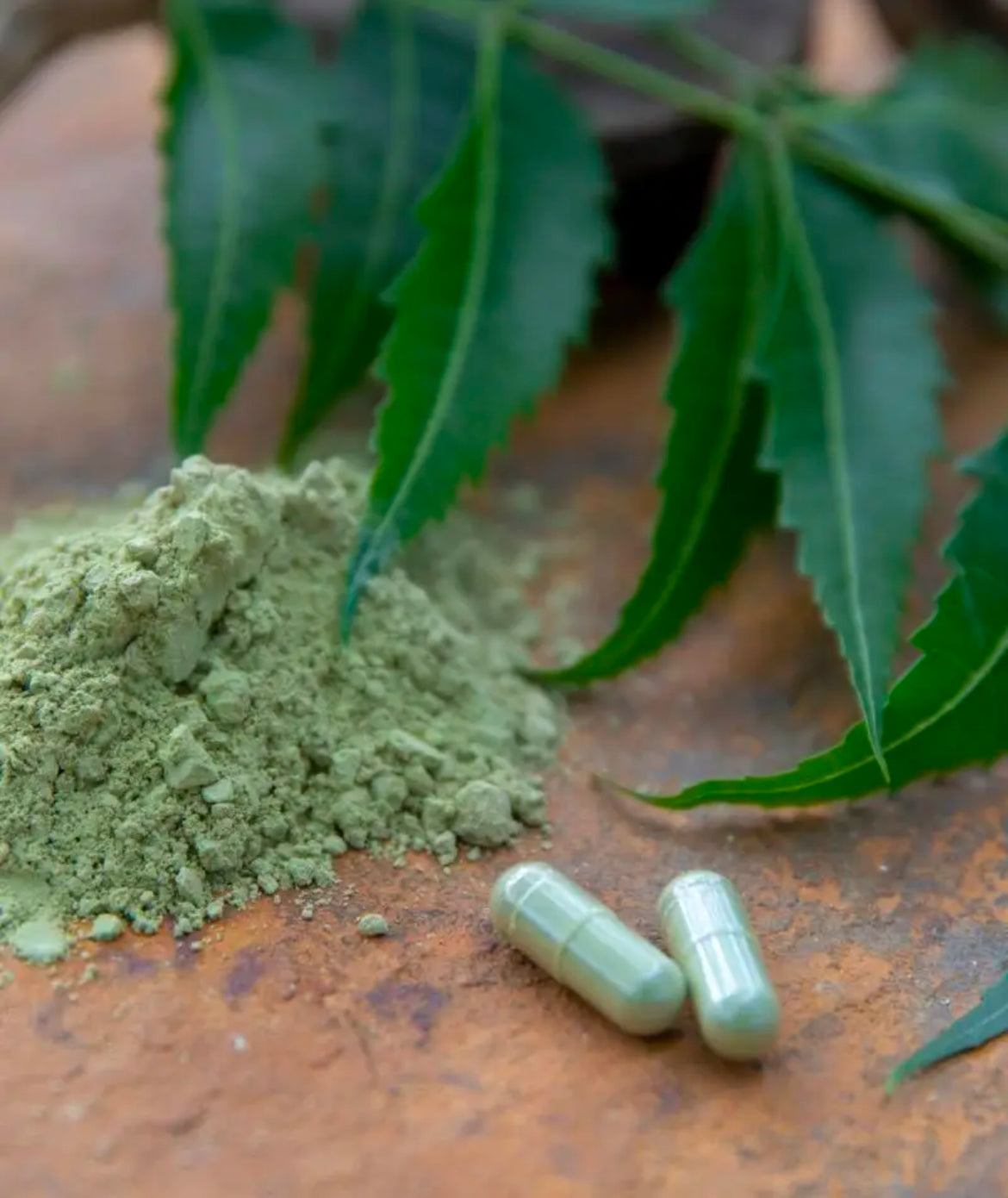 Organic Neem Capsules