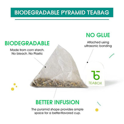 Teabox Detox Desi Kahwa Darjeeling Green Tea Indian Herbs & Spices - 25 pcs