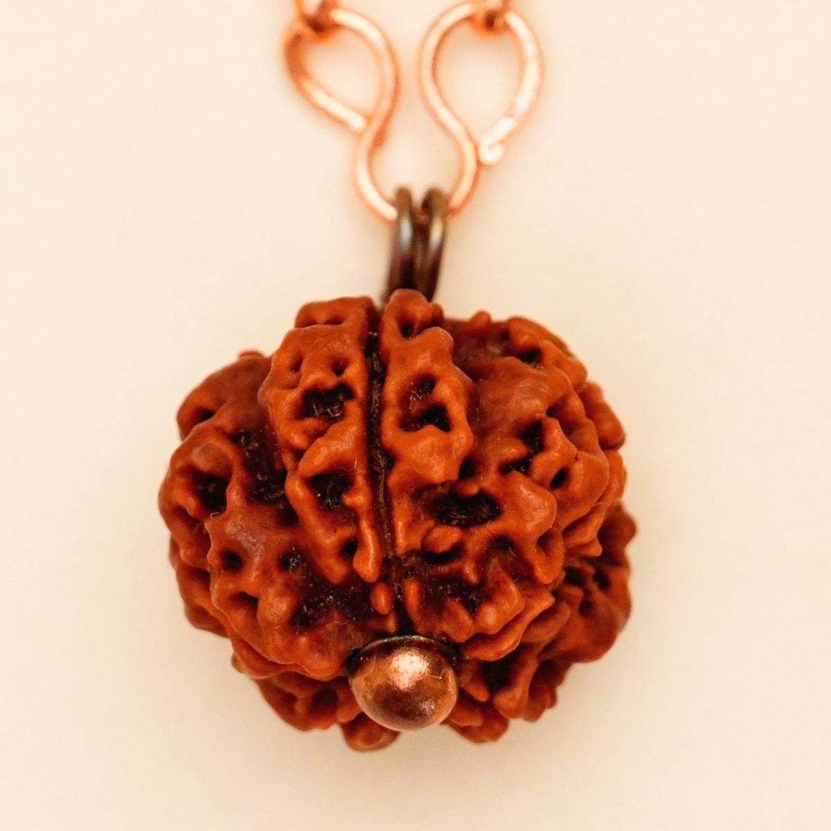 Adiyogi Rudraksha with copper chain (Long Chain). Energized Isha Panchamukhi (five faced) Rudraksha bead.