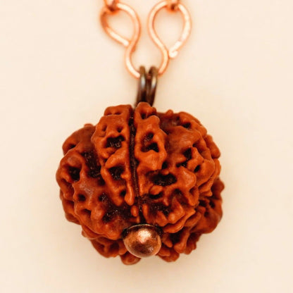 Adiyogi Rudraksha with copper chain (Long Chain). Energized Isha Panchamukhi (five faced) Rudraksha bead.
