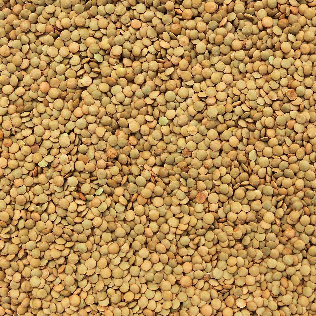 ORGANIC LENTILS, Green