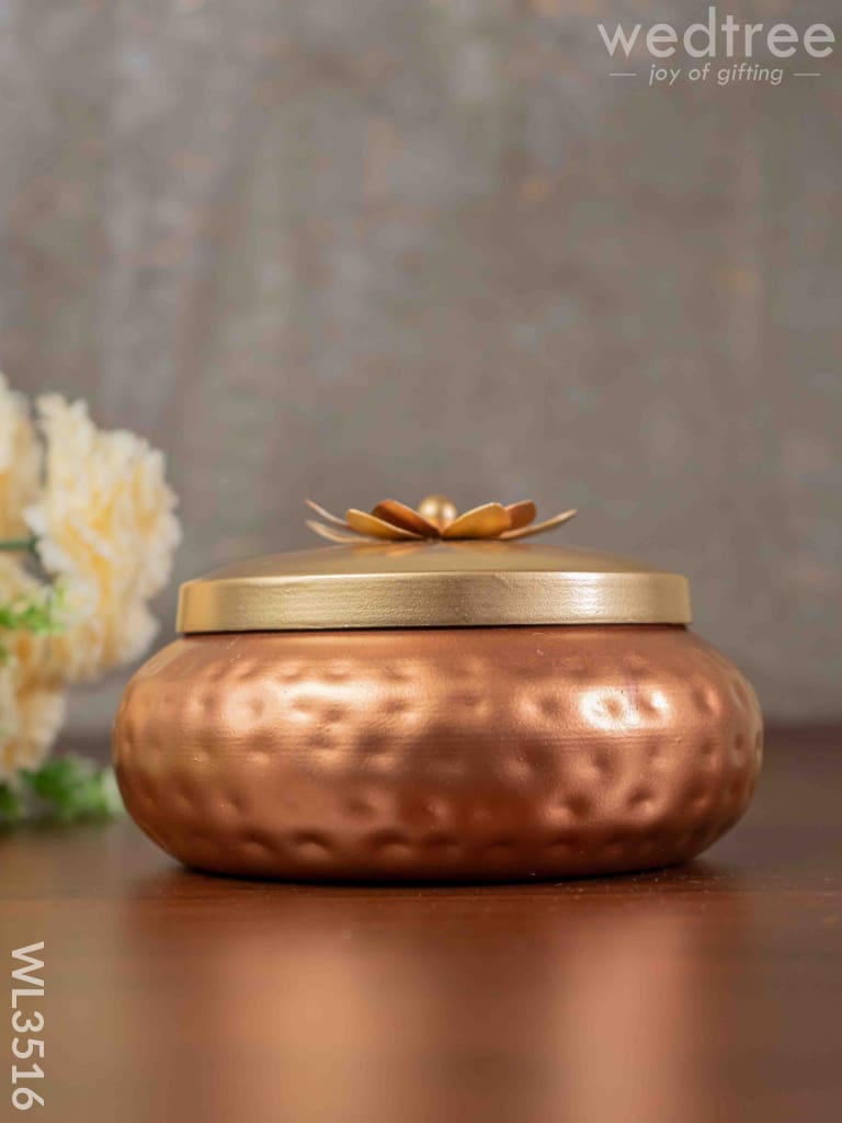 Copper Coated Dry Fruit container with Brass Lid