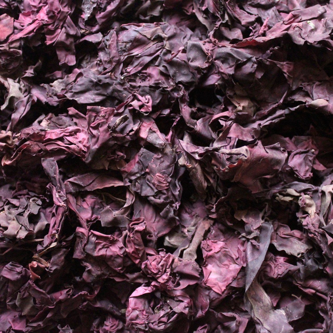 ORGANIC DULSE, whole leaf