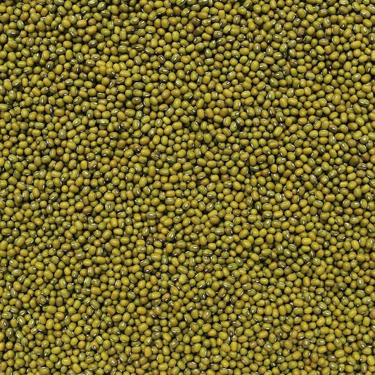 MUNG BEANS