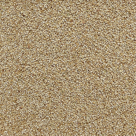 ORGANIC QUINOA, white