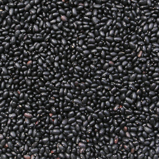 ORGANIC BLACK TURTLE BEANS