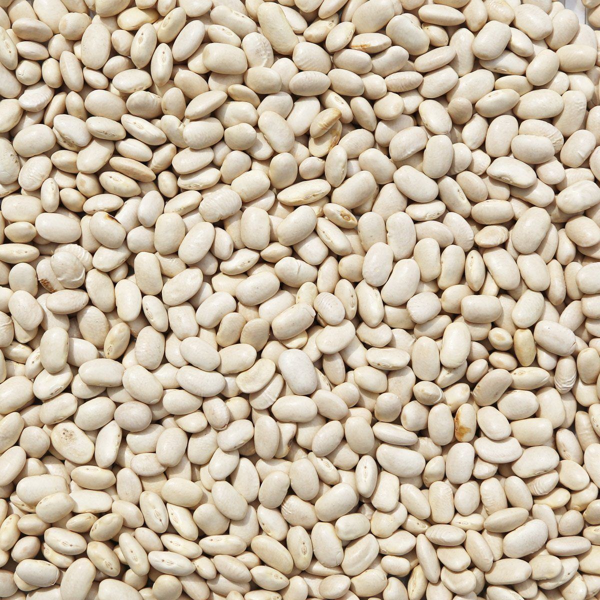 ORGANIC CANNELLINI BEANS