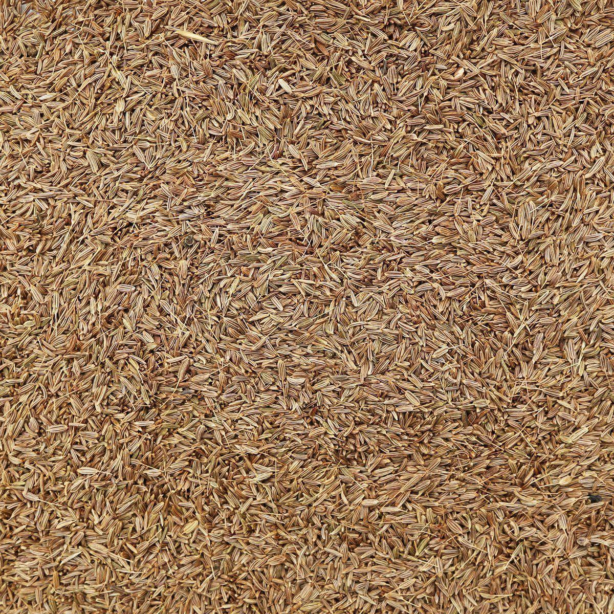 ORGANIC CARAWAY SEEDS, whole