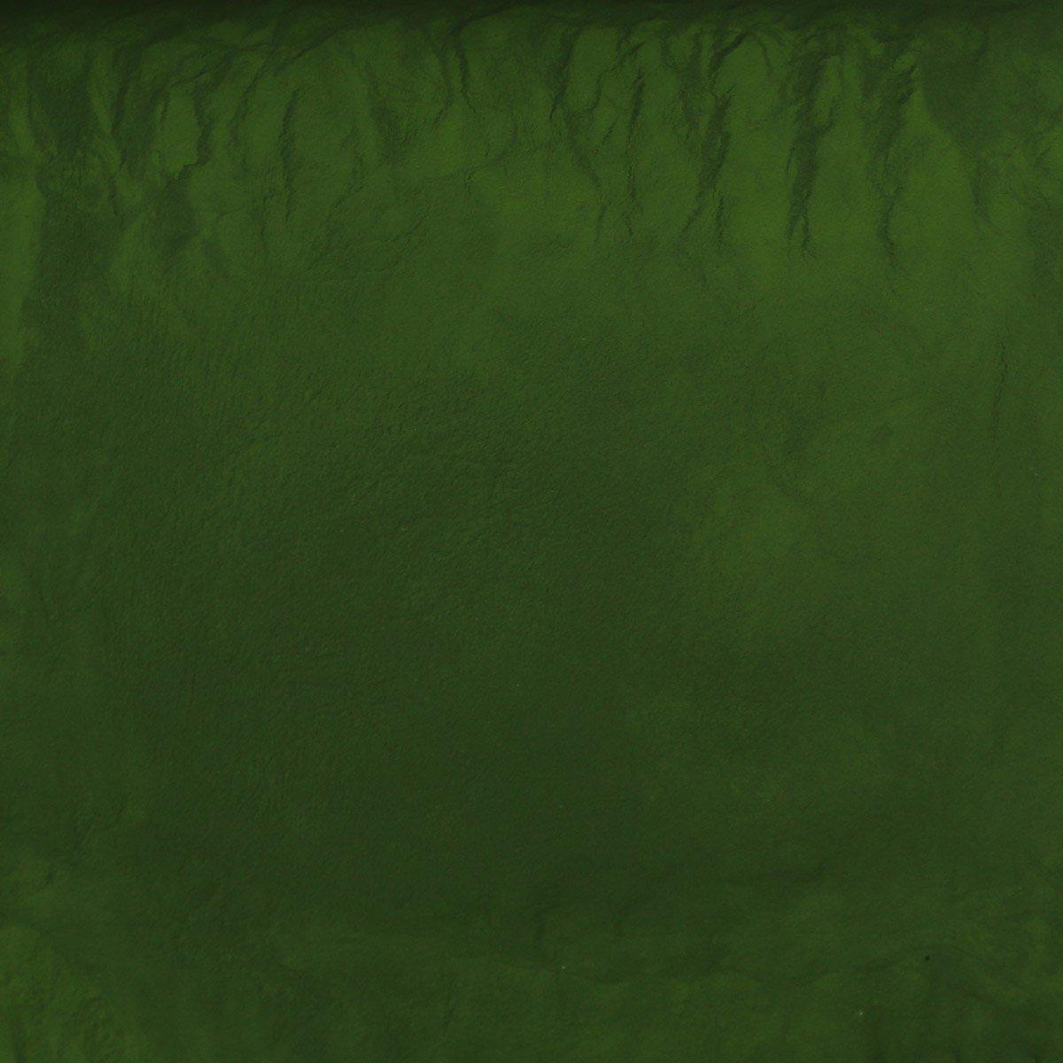 ORGANIC CHLORELLA, cracked cell, powder