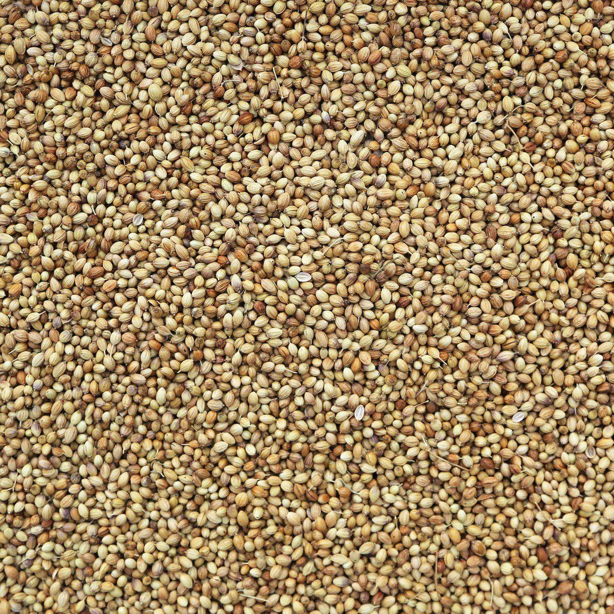 ORGANIC CORIANDER SEEDS, whole