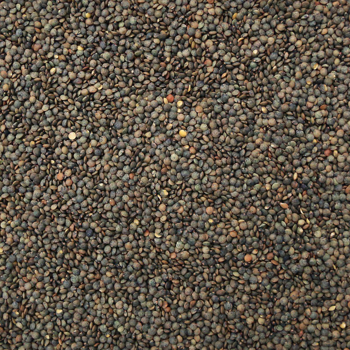 ORGANIC LENTILS, French