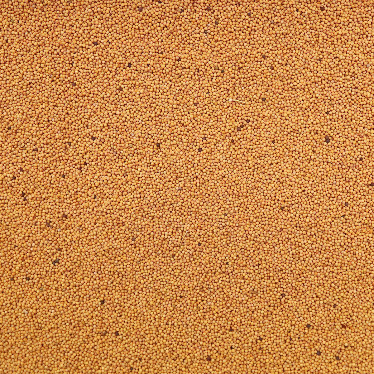 ORGANIC MUSTARD SEEDS, yellow, whole