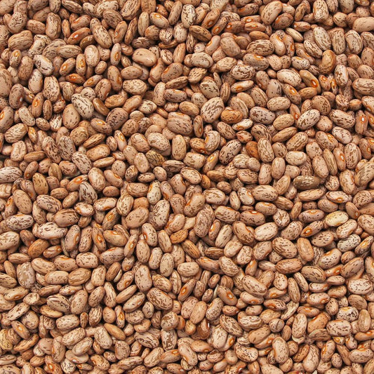 ORGANIC PINTO BEANS