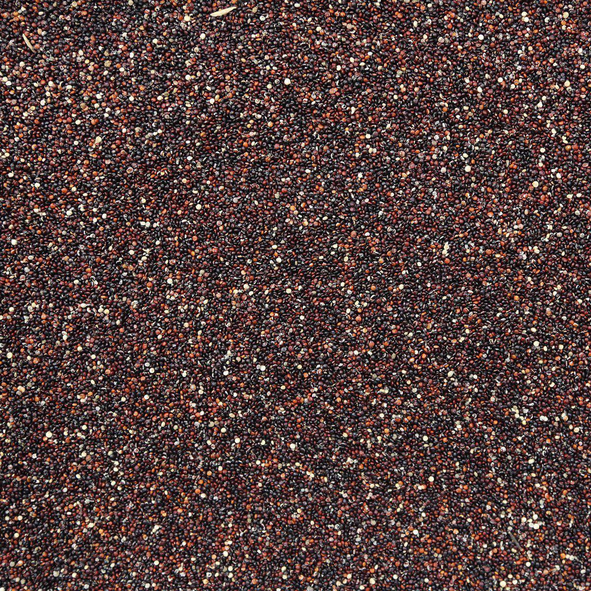 ORGANIC QUINOA, black