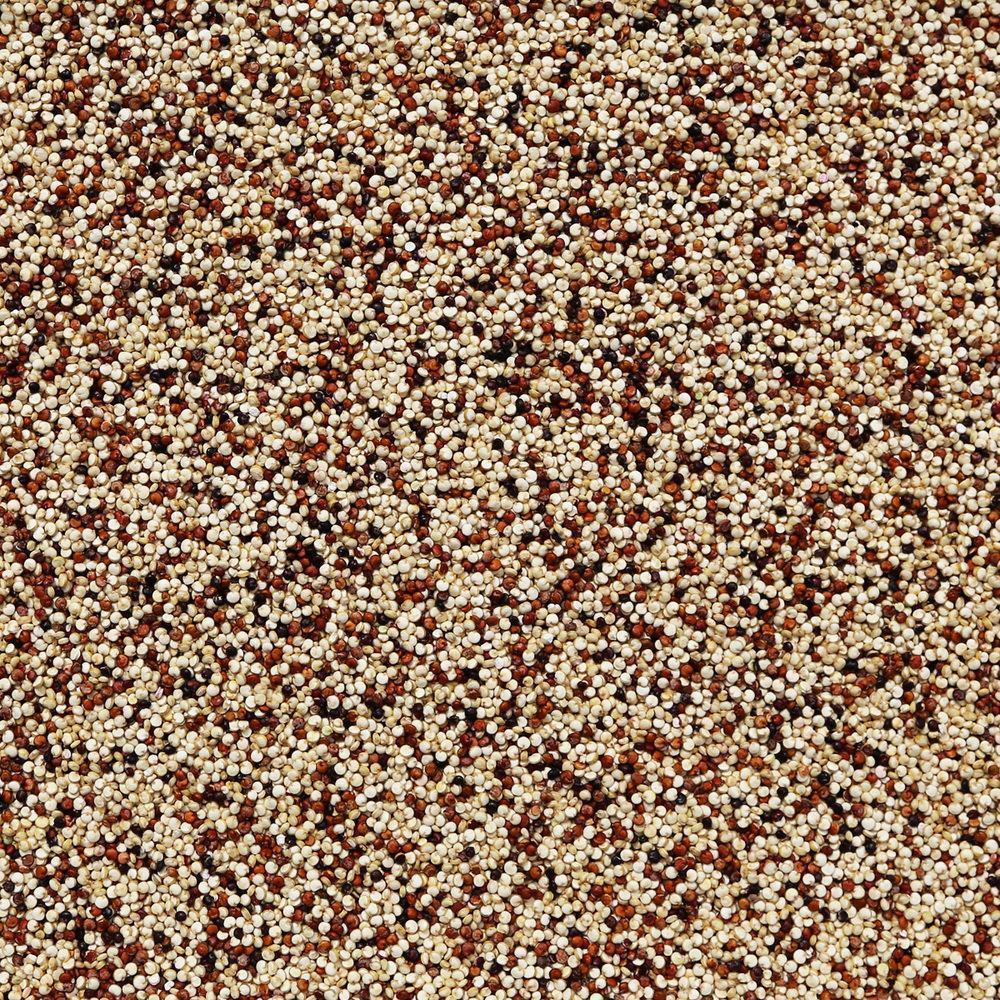 ORGANIC QUINOA, tri-color (white, black, red)