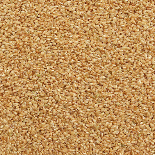 ORGANIC RICE, short grain, brown