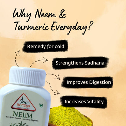 Neem and Turmeric powder in veg capsules. Combo pack. 100 capsules each. For daily detox.